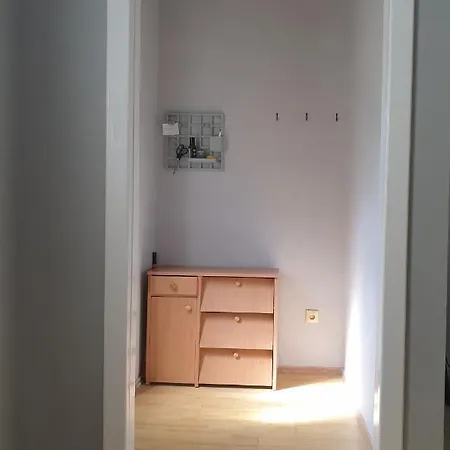 Novi 19 Foca