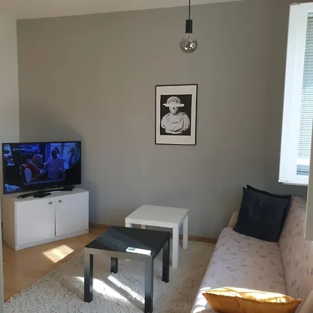 Apartment Novi 19 *