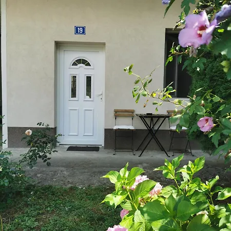 Novi 19 Foca