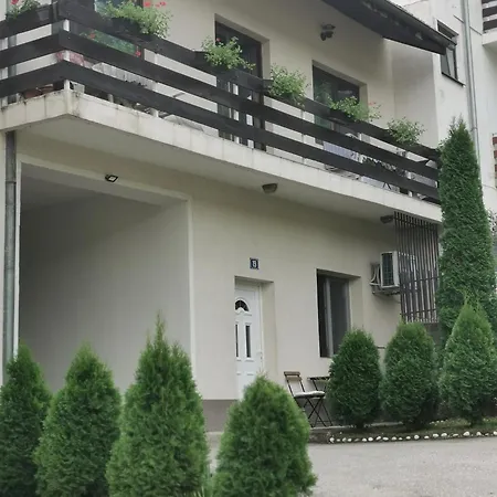 Novi 19 * Φότσα